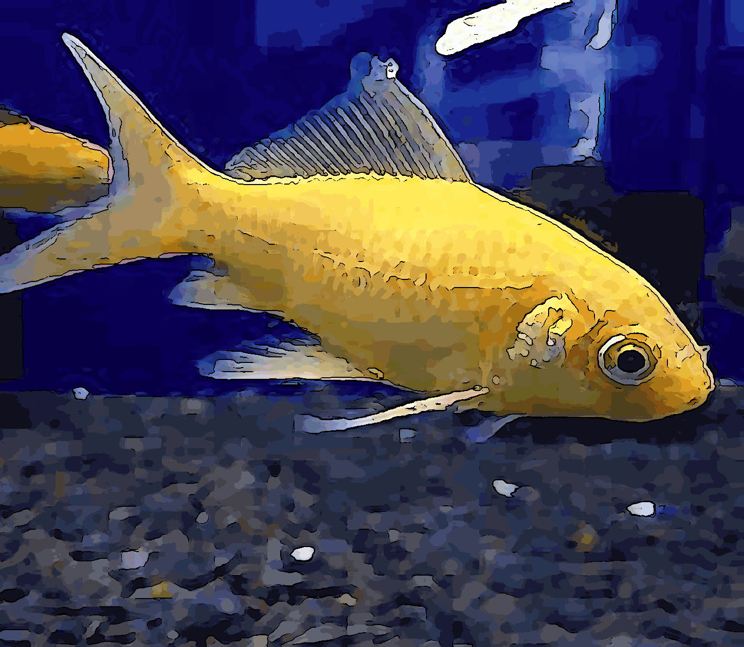 Comet goldfish tank size clearance